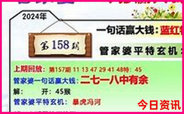 杨丹个人资料简介